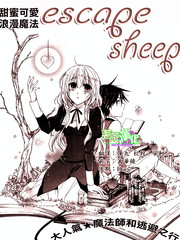 escape sheep