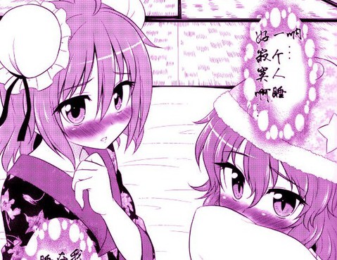 幽香vs華扇