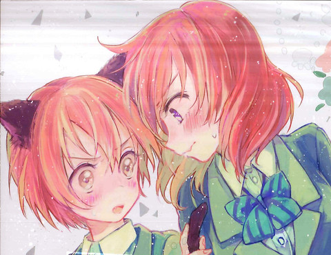 花叢中風雨中，時不時有隻小喵~