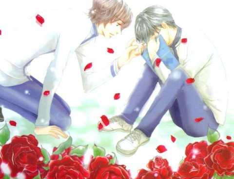薔薇與野草