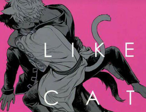 LIKE CAT AND DOG