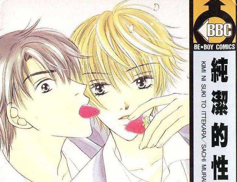 純潔的性愛