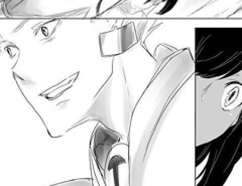 Fate/Strange Fake 恩閃同人