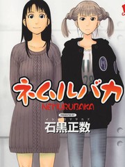 睡覺的笨蛋