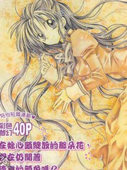 櫻華漫想