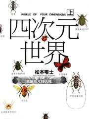 四次元世界