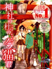 神社森林中的流浪貓