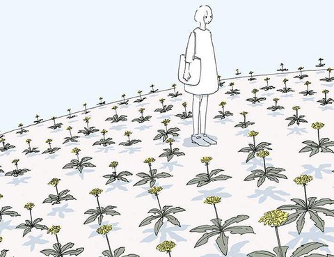 消失的早晨