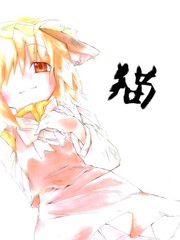 貓