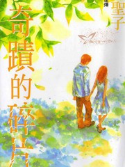 奇蹟的碎片