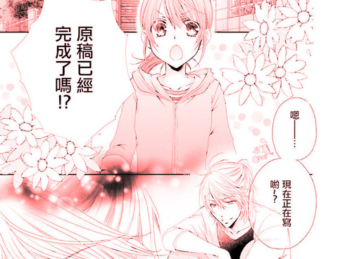 老師的貓