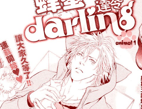 蜂蜜Darling