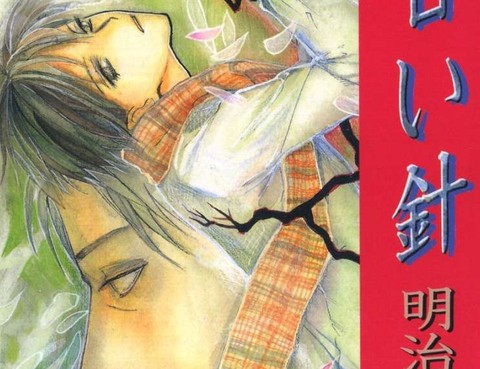甜蜜的針