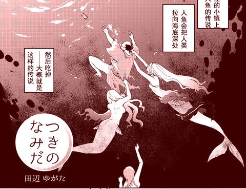 月之淚
