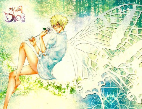 farfalla