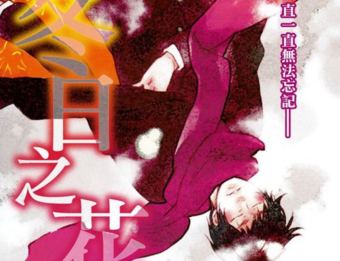 冬日之花