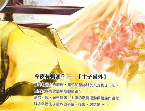 主子番外今夜有刺客