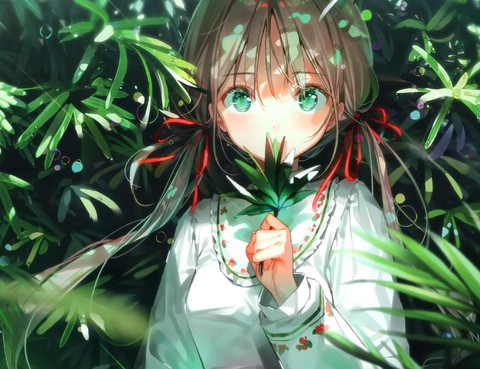 (C97)14rakugakihon