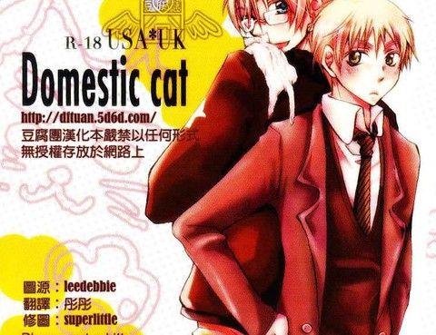 Domesticcat