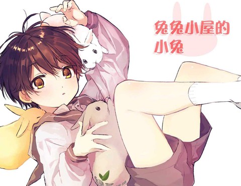 兔兔小屋的小兔