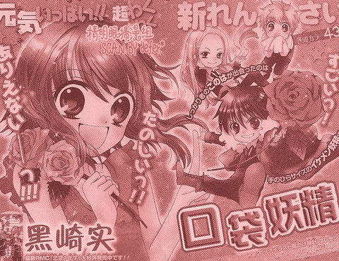 口袋妖精