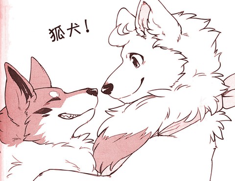 狐犬