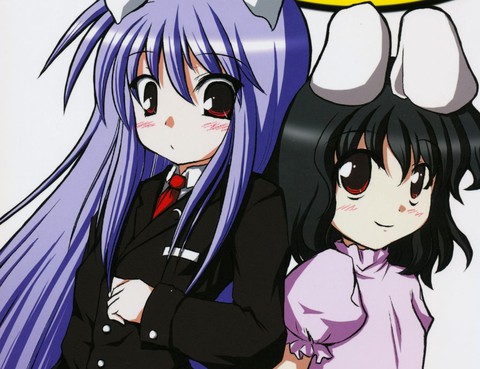 月亮、兔子、朋友