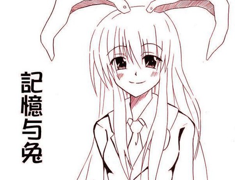 記憶與兔