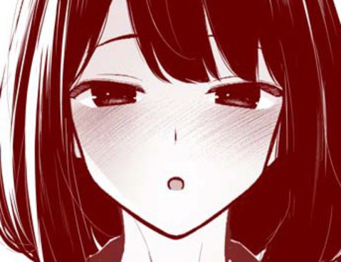 隻身二人攝影部