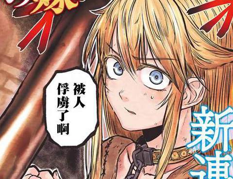 姬騎士是蠻族的新娘